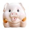 Cute Pig Piggy Bank Personalized Ceramic Kids Piggy Bank Keepsake 18x12x17cm